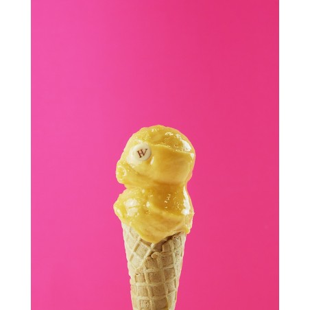 Glaces & Sorbets maison | Sorbet Passion